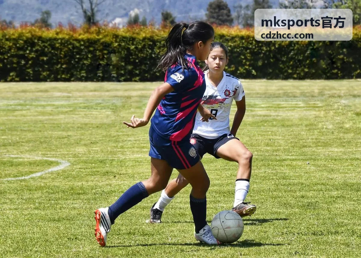 mksports官方赛事数据与直播入口界面示意
